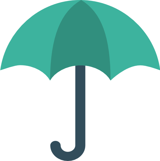 Term Life Insurance